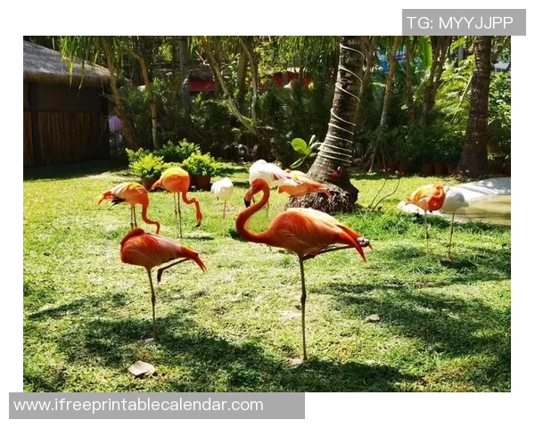 马尔代夫与中国的旅游魅力对比分析与文化交流探讨