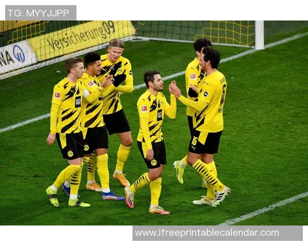 多特蒙德与费雷堡精彩对决直播全程回顾与分析 多特蒙德与费雷堡精彩对决直播全程回顾与分析